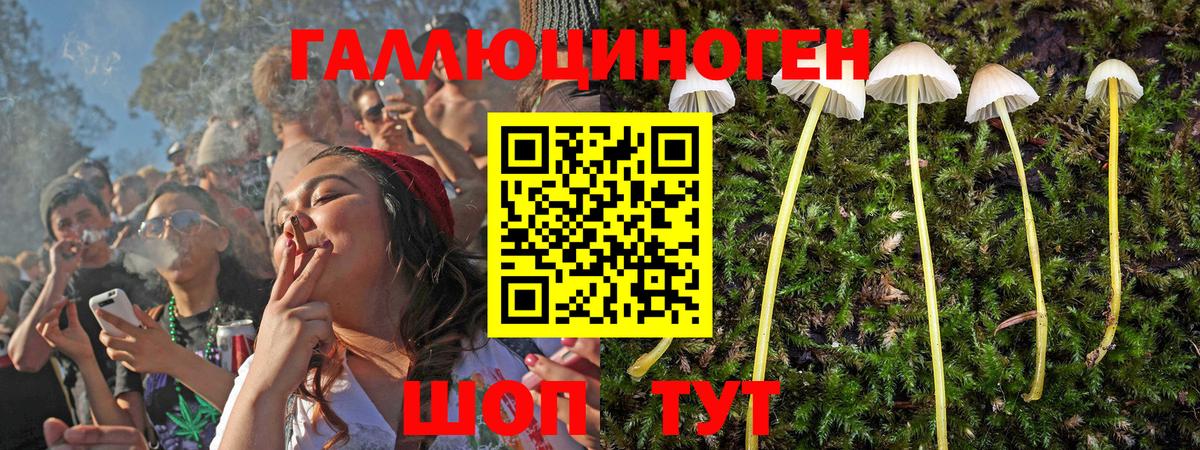 Галлюциногенные грибы Psilocybe Белогорск
