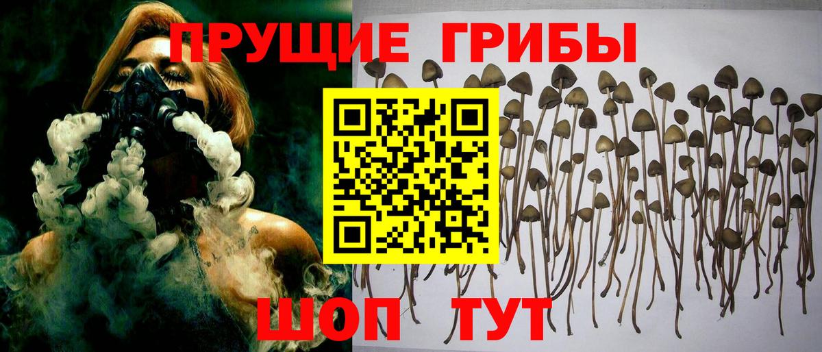 Галлюциногенные грибы Cubensis  Галлюциногенные грибы Cubensis  Белогорск  Вход с VPN 